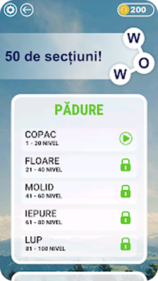 Screenshot joc 2